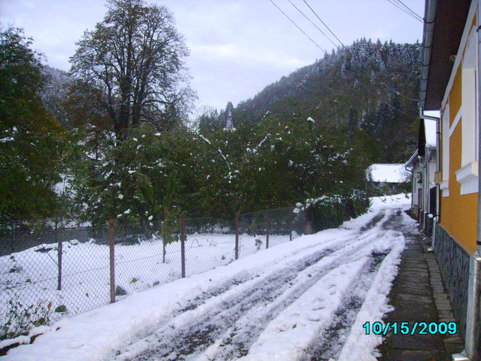 IMG_8955 - 2009 iarna timpurie
