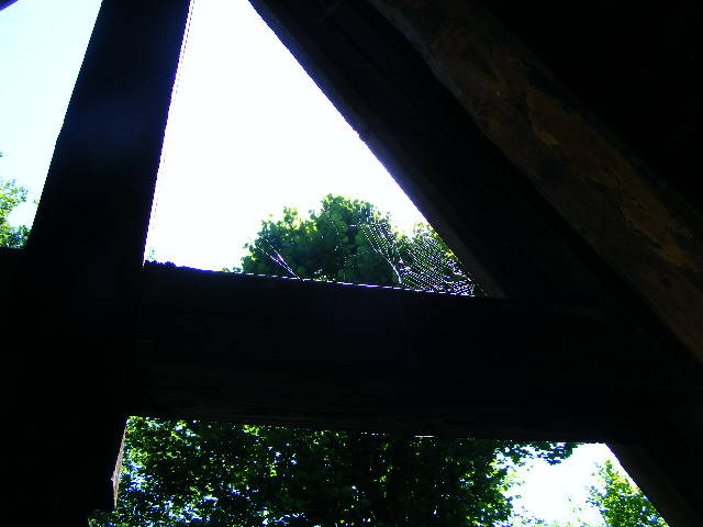 DSCF2024 - varful Ignis Maramures