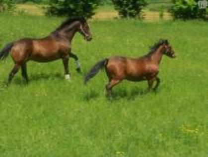 NQGOUMEYTRNTJMNHAKP - bhsjwnjuw whabuqwiwkwiqjwnwnq