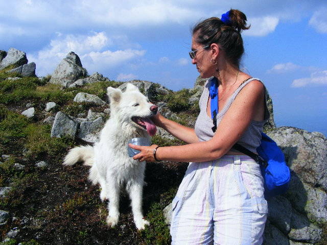DSCF4439 - 2 august 2009 Traseu Suior Secatura Creasta Cocosului Gutaiul Doamnei  Vf Gutai