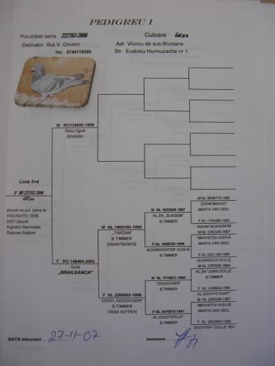 RO 222763-2006 F - 8-pedigree