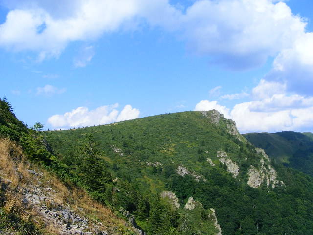 DSCF4486