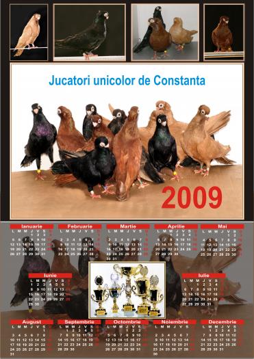 Picture 034 - jucatori de constanta