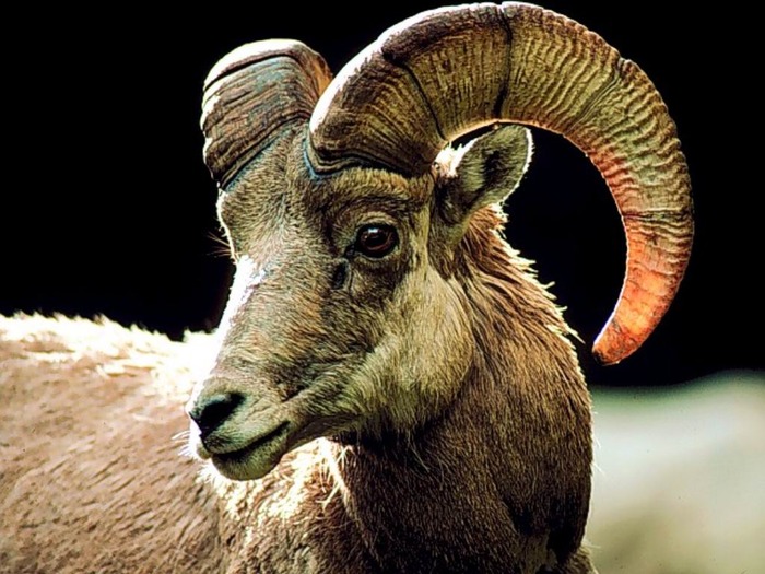 webshots336 - Toate pozele mele din comp