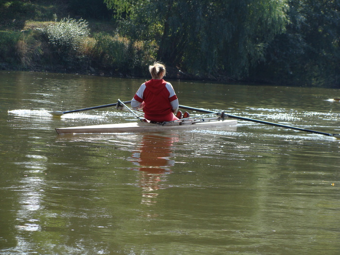 Concursul Cupa Mures 2009 - Cupa Mures 2009 Arad