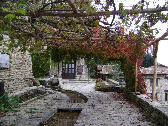 DSC07225; SI NU-TI MAI VINE SA PLECI..
