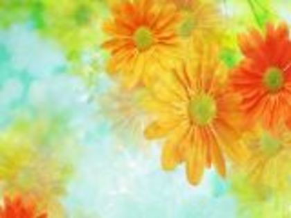 floricele - poze frumoase