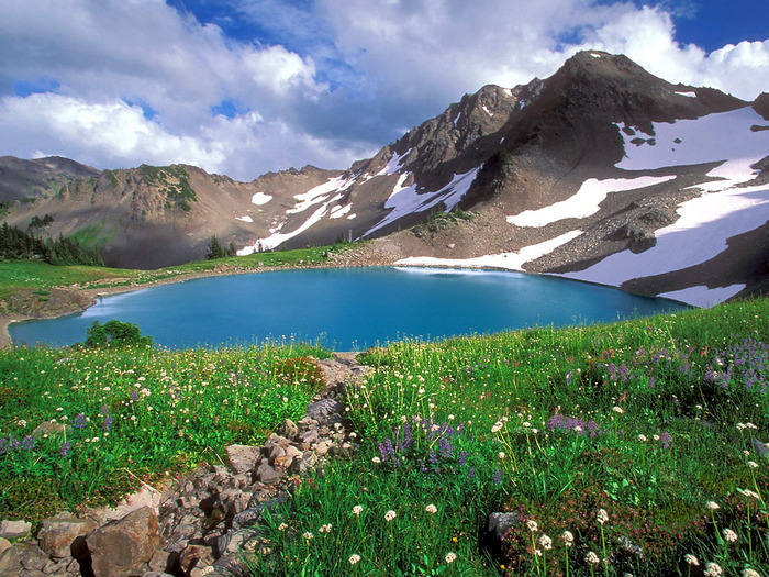 alpine_tranquility,_olympic_national_park,_washington