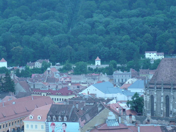 P1060571 - ALBUM BRASOV 2009 AUGUST CATY