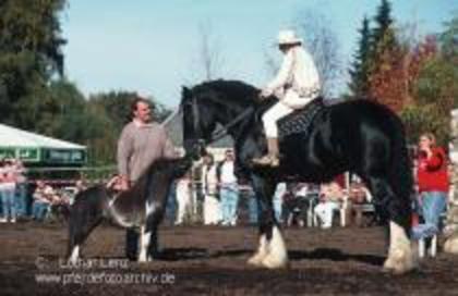 EOCSUKWKSZUATDRZDHY - bhsjwnjuw whabuqwiwkwiqjwnwnq