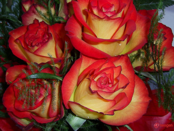 d7438d19_0050000920760_00_600