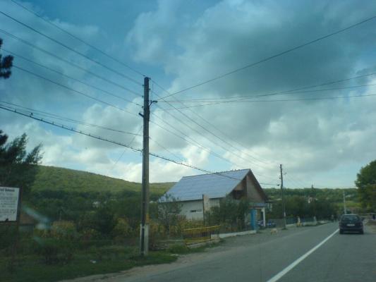 DSC00501