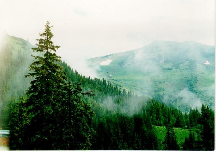 LBUTA - Wonderful pictures from the world