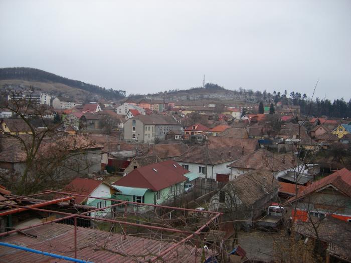 Medias-Cartierul Mosnei