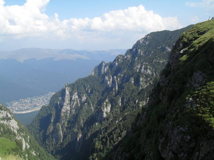 SDC10097 - Valea Caraiman-Bucegi