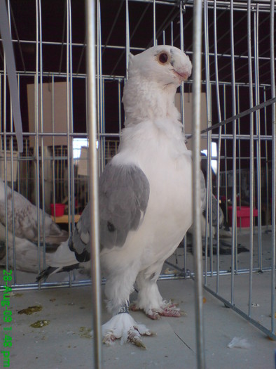 DSC05190