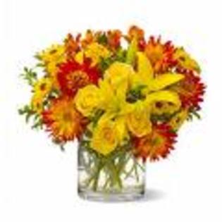 images_4