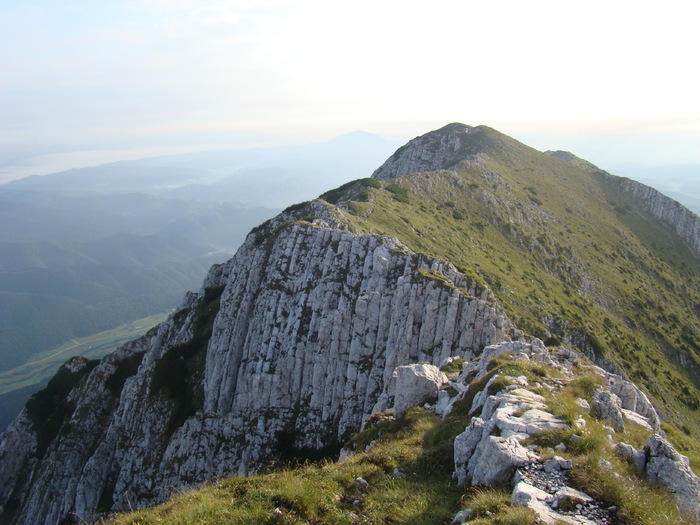 DSC04119 - Piatra Craiului August 2009 Valea Crapaturii