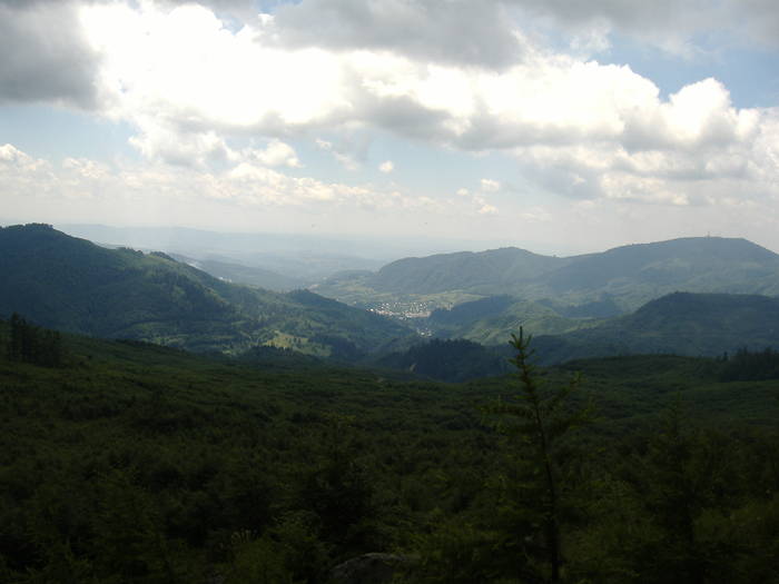 DSCF6125
