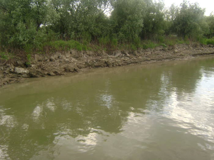 excursie delta dunarii 5062009 117 - EXCURSIE  in DELTA