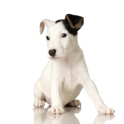 e5bf44a2dec7edc79f6948bcee24b581 - CATELUSI