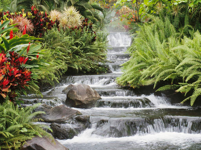 Waterfall - paduri flori frunze rauri si multe altele