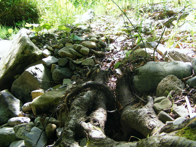 DSCF2105 - hai hui prin Maramures