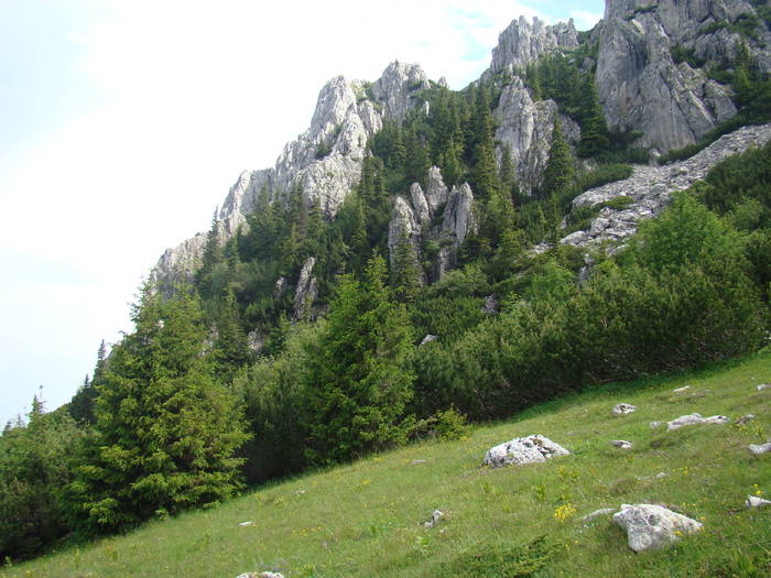 DSC03941 - Concediu 2009