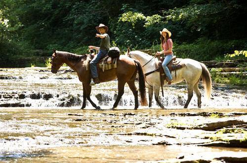 Hannah_Montana_The_Movie_1237729237_1_2009 - Poze ciudate urate haioase etc