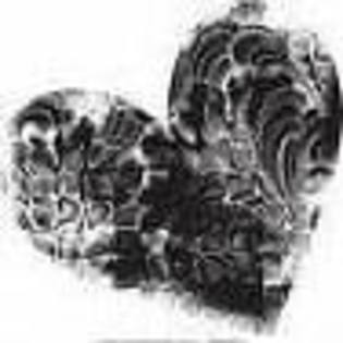 A45H08YCAFA0FDNCAH3CRXWCATXZG5ACA8T415RCATACKONCARU9OUGCAXNKN8QCA2CORT2CA6L2RWRCAE83LCGCA2MUAVYCA3ZE - HEARTS