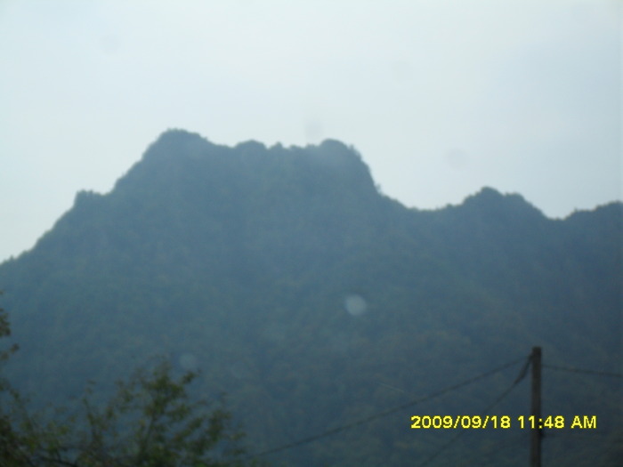 SDC10291