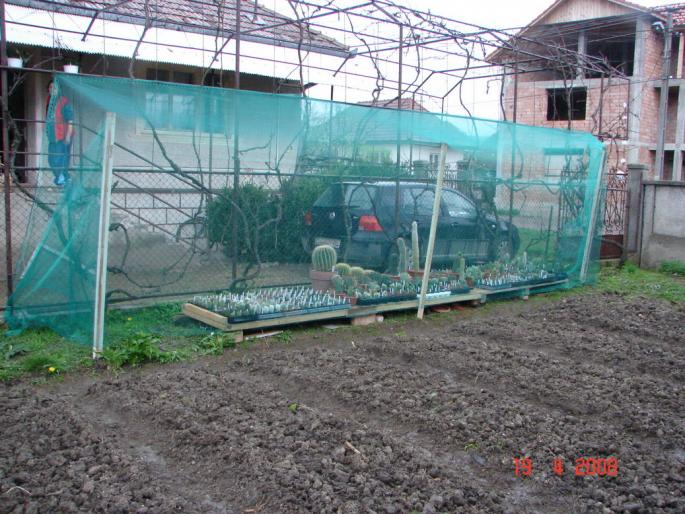 DSC02960