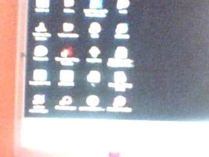 Picture 1254 - daalina