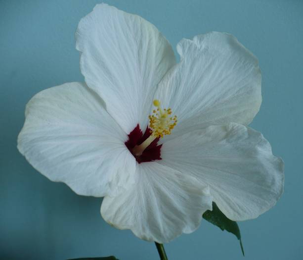 P1110778