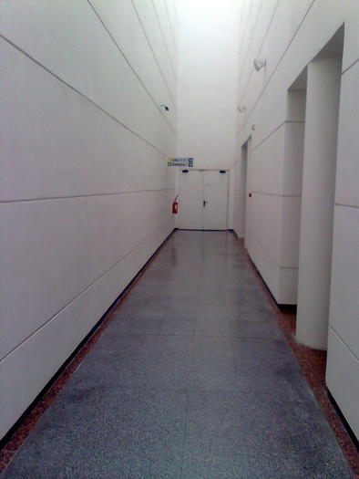 spre baie - ApiMondia