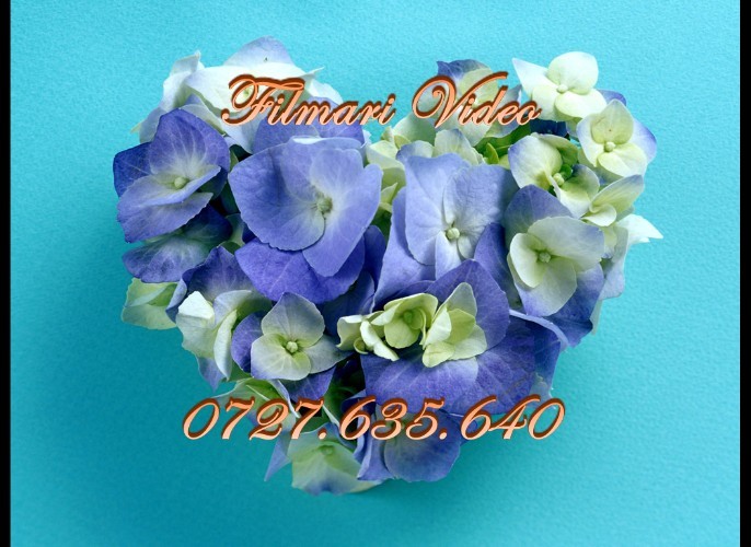 heart_from_beautiful_tender_blue_and_white_flowers - FILMARI VIDEO