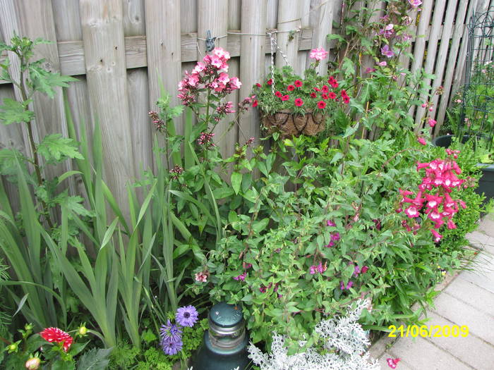 gr.s. 21 iun 2009 (3)