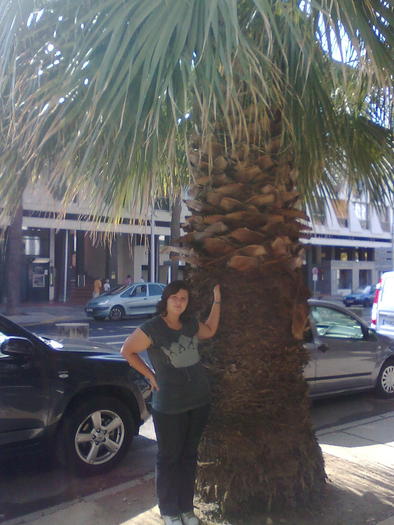 Mimi si palmeros - ApiMondia