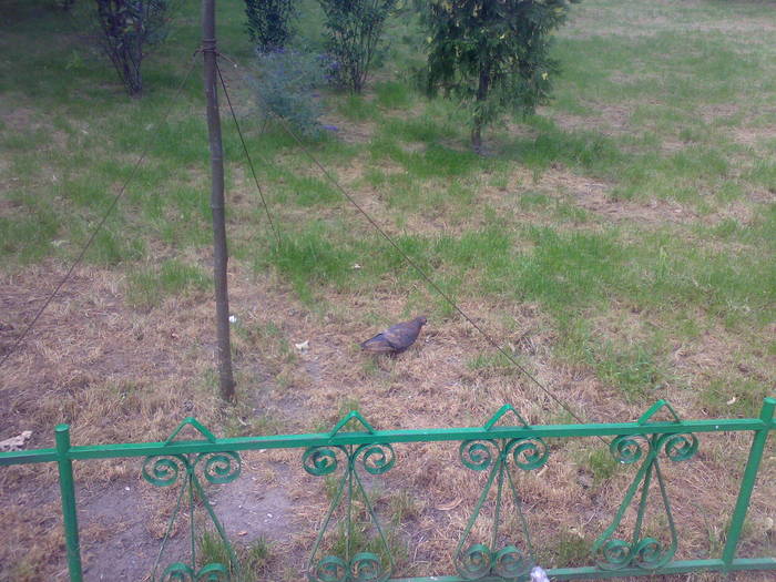 200720092324 - 18c Bucuresti