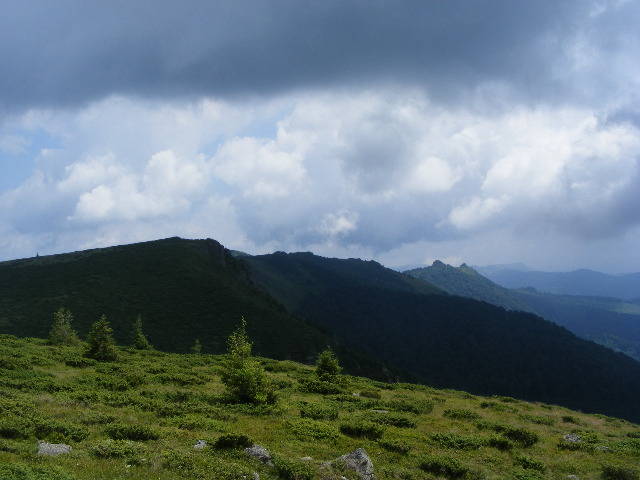 DSCF3117