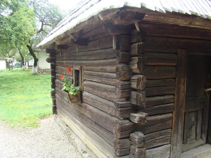 DSC02068 - Concediu 2008