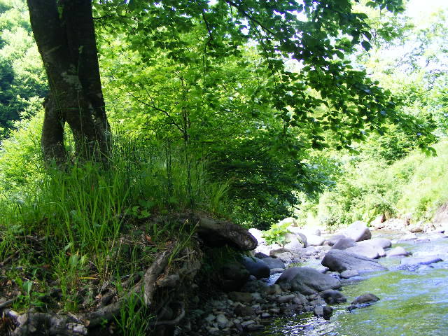 DSCF2100 - hai hui prin Maramures