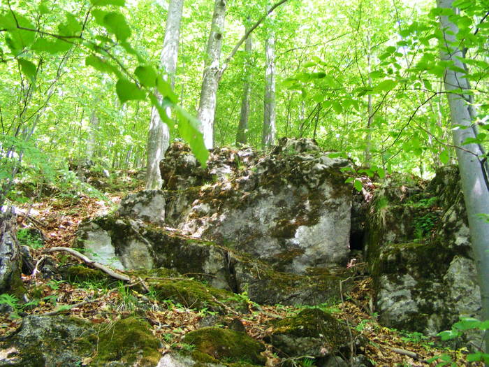 DSCF1096
