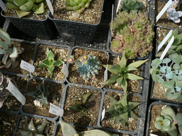 P1000758