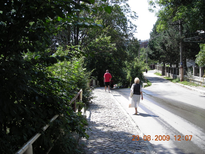 DSCN9641 - Sinaia 23 08 2009