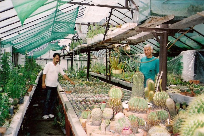 scan0013 - Colectionari