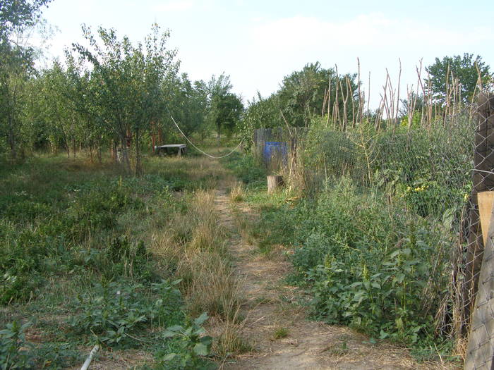 P8151990