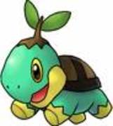 ok978ok - turtwig