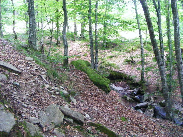 DSCF2550 - Berchezoaia Biserica Vacilor 28 iunie 2009