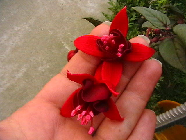Picture 025
